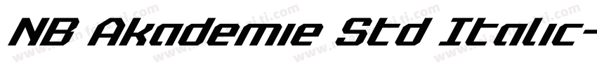 NB Akademie Std Italic字体转换